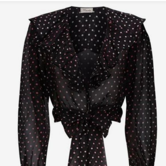 Temperley London Dot Printed Ruffle Blouse ($695) - Picture 1 of 16